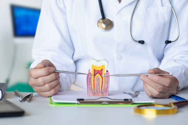 Best Emergency Dentist for Special Needs Patients in Ravenna, MI